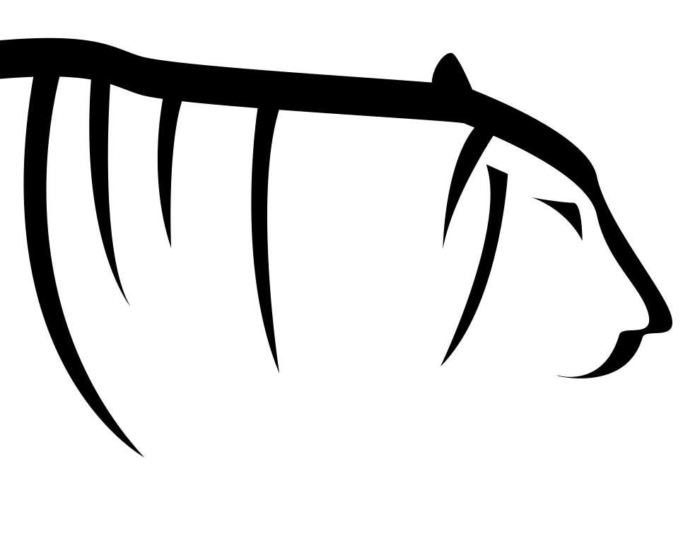 Tiger29 Logo